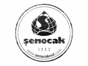 Şenocak