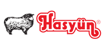 Hasyün